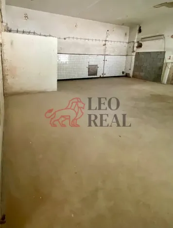 Pronájem skladu, Ústí nad Labem - Krásné Březno, Drážďanská, 60 m2