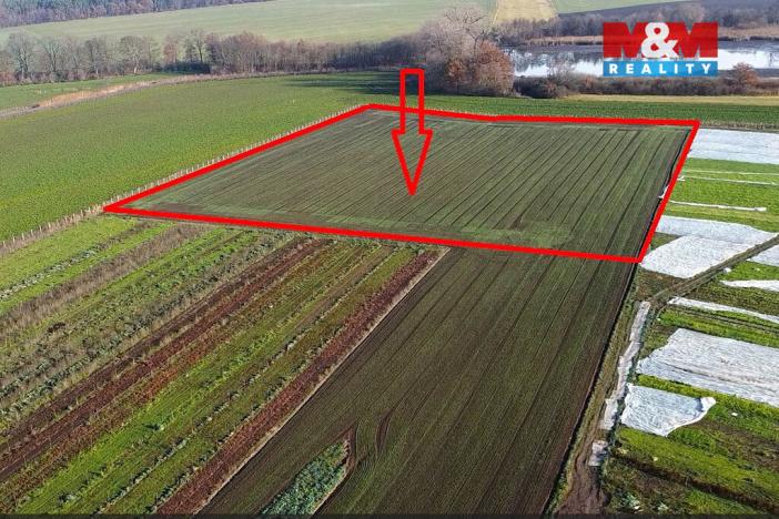 Prodej pole, Nové Dvory, 9979 m2