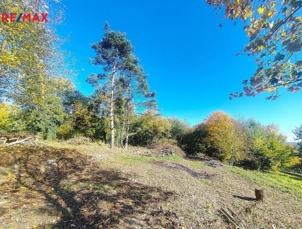 Prodej pozemku, Ostrava, 3646 m2