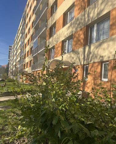 Prodej bytu 3+1, Liberec - Liberec X-Františkov, Jáchymovská, 84 m2