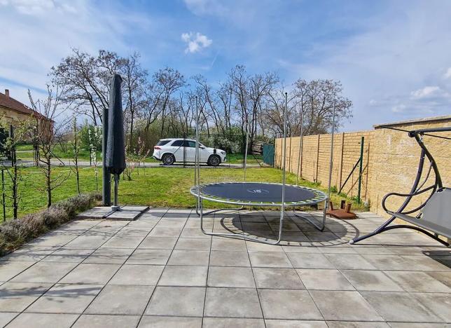 Prodej vícegeneračního domu, Pasohlávky, 320 m2