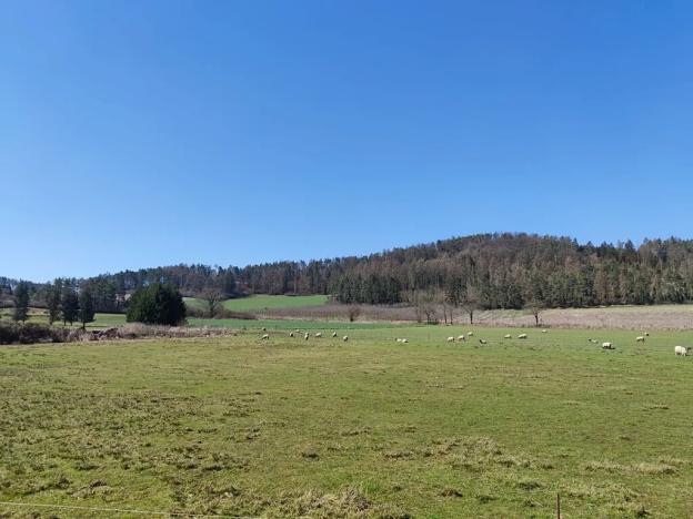 Prodej pozemku pro bydlení, Horažďovice, 2250 m2