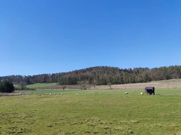 Prodej pozemku pro bydlení, Horažďovice, 2250 m2