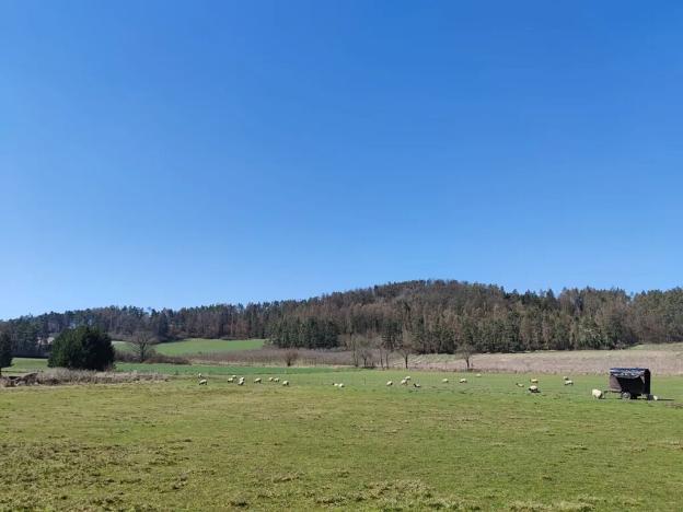 Prodej pozemku pro bydlení, Horažďovice, 1125 m2