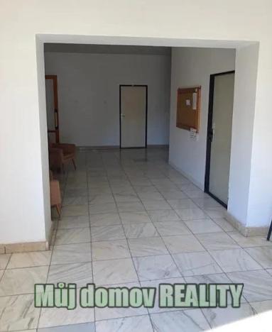 Prodej obchodního prostoru, Světice, V Zahradách, 110 m2