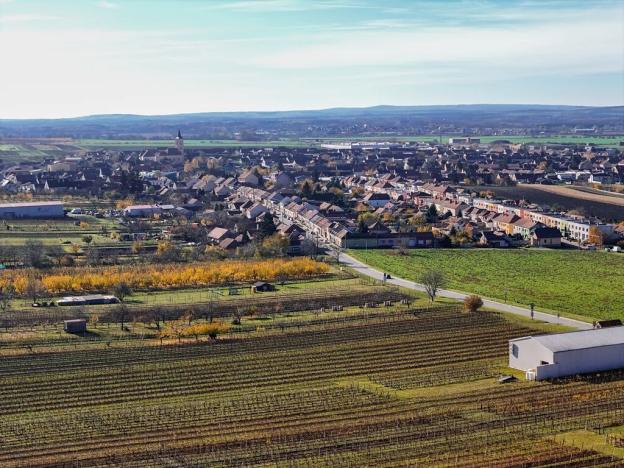 Prodej rodinného domu, Velké Bílovice, Čejkovská, 150 m2