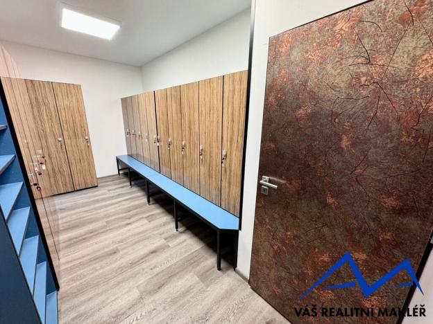 Pronájem skladu, Ostrava, Výhledy, 810 m2