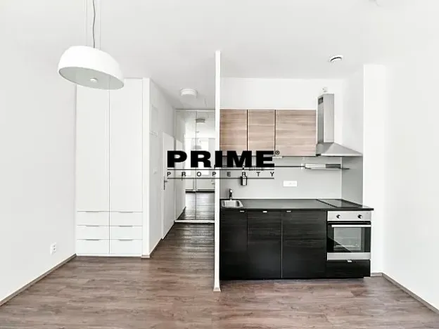 Pronájem bytu 1+kk, Praha - Vinohrady, Lucemburská, 30 m2