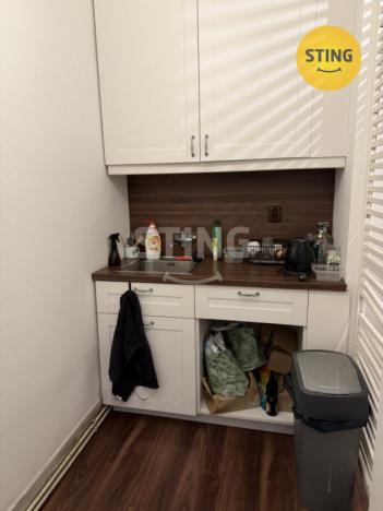 Pronájem komerční nemovitosti, Ostrava - Moravská Ostrava, S. K. Neumanna, 43 m2