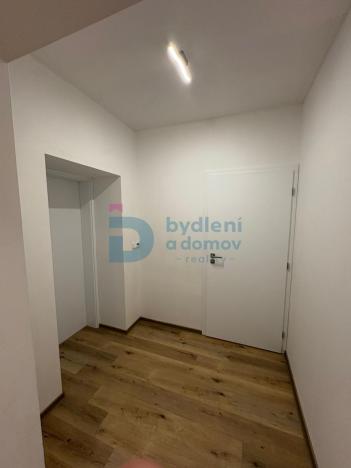 Pronájem bytu 1+kk, Doloplazy, 45 m2