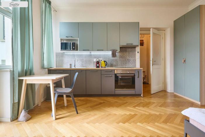 Prodej bytu 1+kk, Praha - Žižkov, Slavíkova, 27 m2