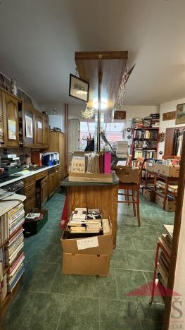 Prodej obchodního prostoru, Sušice - Sušice II, Příkopy, 135 m2