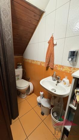 Prodej obchodního prostoru, Sušice - Sušice II, Příkopy, 135 m2