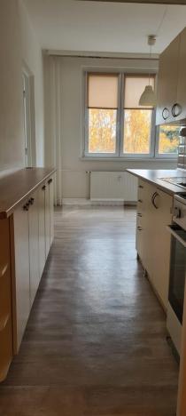 Pronájem bytu 3+1, Chomutov, U Hačky, 60 m2