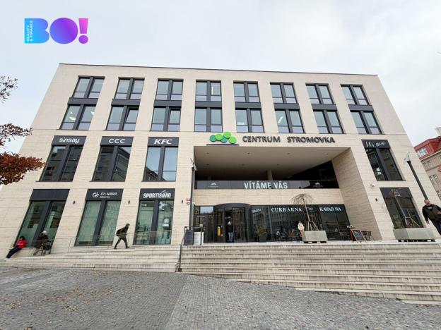 Pronájem komerční nemovitosti, Praha, Veletržní, 374 m2