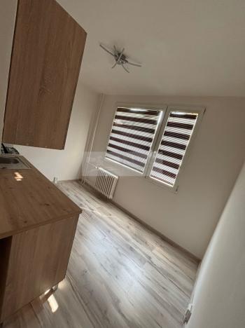 Pronájem bytu 1+1, Chomutov, Holešická, 42 m2