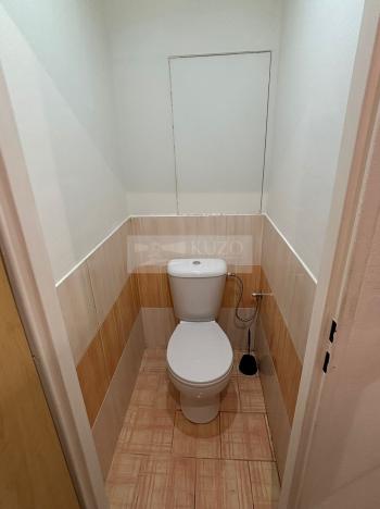 Pronájem bytu 1+1, Chomutov, Holešická, 42 m2