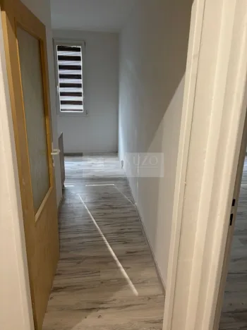 Pronájem bytu 1+1, Chomutov, Holešická, 42 m2