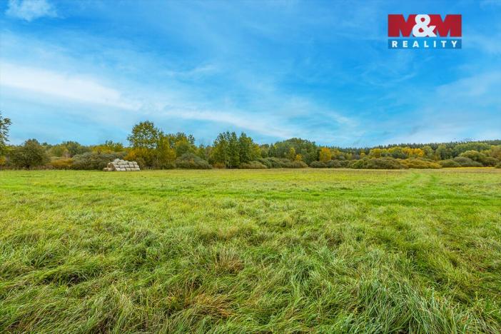 Prodej louky, Jestřebí, 14822 m2