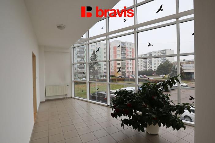 Pronájem bytu 1+kk, Brno - Líšeň, Jírova, 40 m2