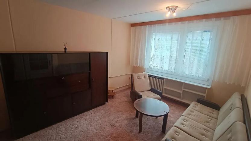 Pronájem bytu 1+1, Plzeň, Na Dlouhých, 40 m2