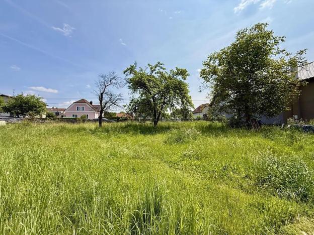 Prodej pozemku pro bydlení, Olšany, 1816 m2