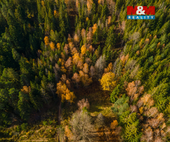 Prodej louky, Milíkov, 4541 m2