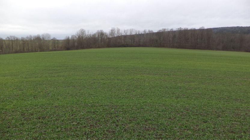 Prodej pole, Srby, 19946 m2