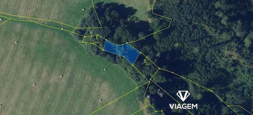 Prodej lesa, Lomnice, 10434 m2