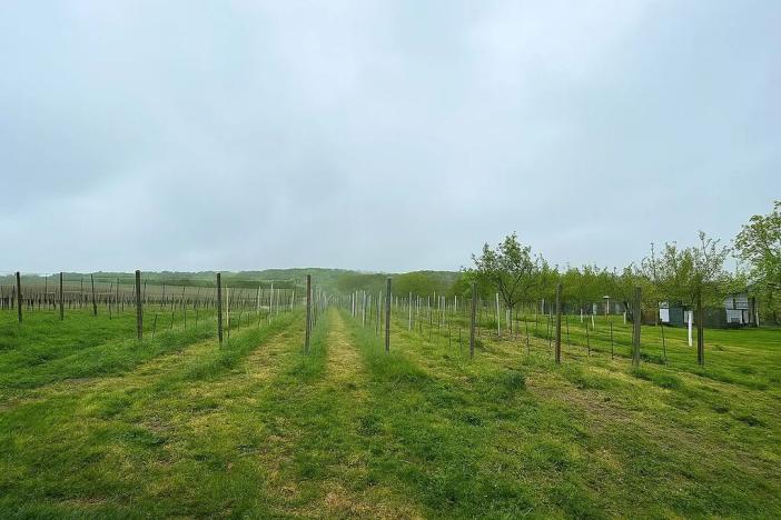 Prodej pozemku, Blatnice pod Svatým Antonínkem, 2471 m2