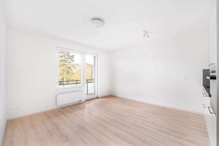 Prodej bytu 1+kk, Praha - Hodkovičky, Šífařská, 29 m2