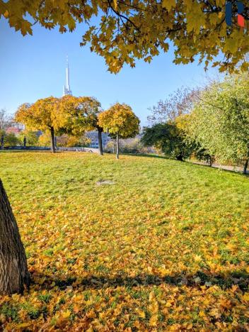 Prodej bytu 1+kk, Praha - Žižkov, Roháčova, 40 m2