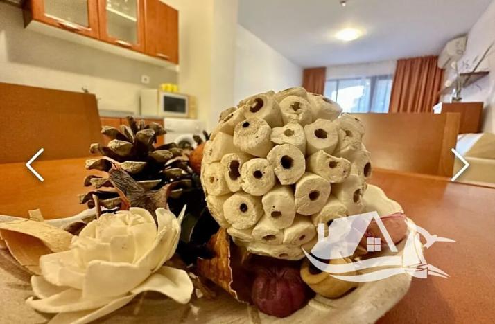 Prodej bytu 2+kk, Pomorie, Bulharsko, 75 m2