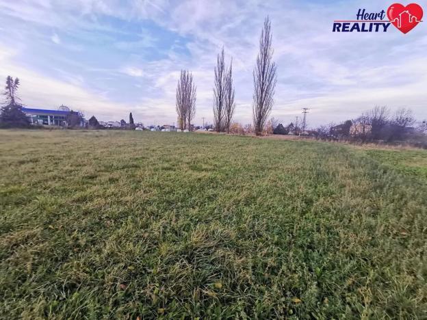 Prodej komerčního pozemku, Neplachovice, Na Nivě, 7386 m2