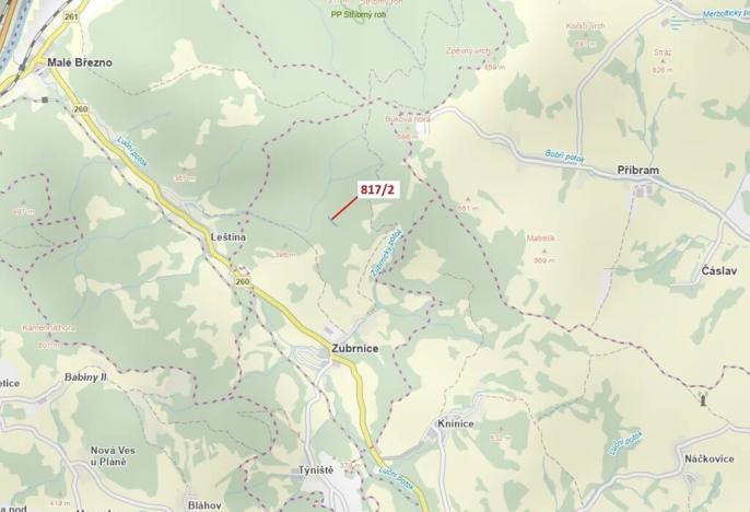 Dražba lesa, Zubrnice, 815 m2