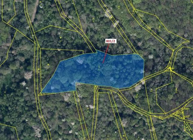 Dražba lesa, Zubrnice, 8765 m2