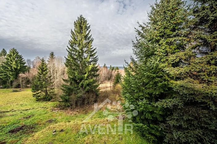 Prodej rodinného domu, Nová Ves nad Nisou, 192 m2