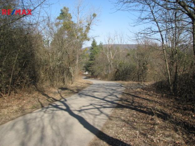 Prodej pozemku pro bydlení, Střílky, 4460 m2