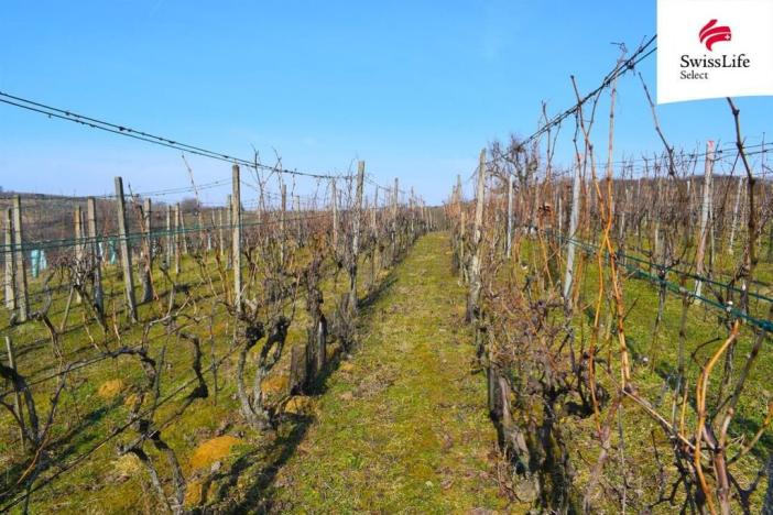 Prodej komerčního pozemku, Bzenec, 1748 m2