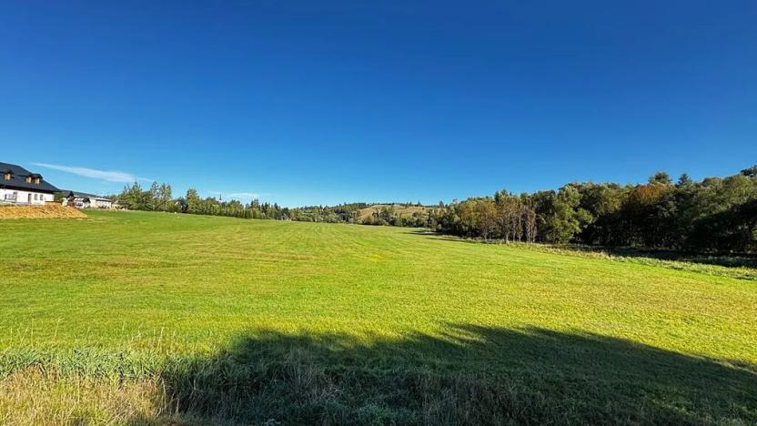 Prodej rodinného domu, Orlické Záhoří, 110 m2