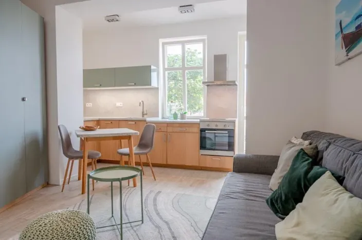 Pronájem bytu 1+kk, Praha - Nusle, Mečislavova, 32 m2