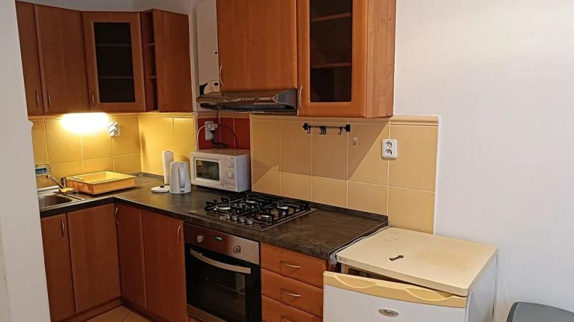 Pronájem bytu 1+1, Praha - Staré Město, U milosrdných, 41 m2