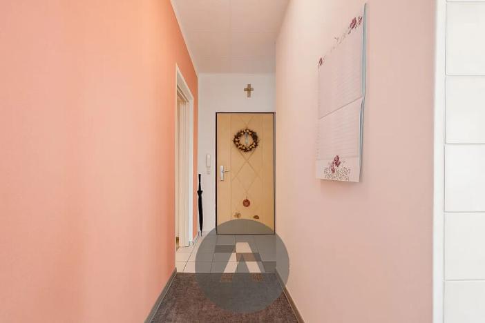 Prodej bytu 2+1, Brno, Luční, 57 m2