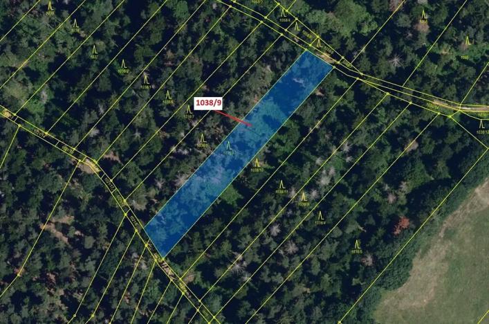 Dražba lesa, Veverské Knínice, 2213 m2