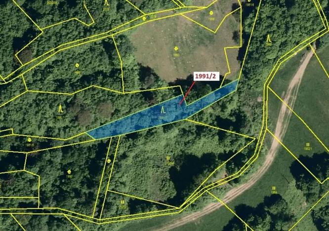 Dražba lesa, Hovězí, 933 m2