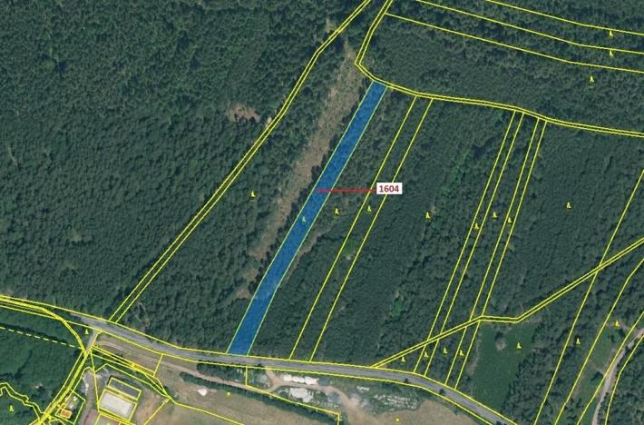 Dražba lesa, Jesenice, 4076 m2