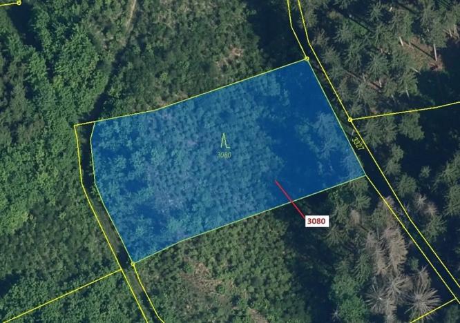 Dražba lesa, Benešov u Semil, 2540 m2