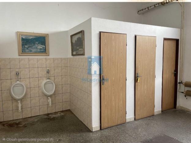 Prodej výrobních prostor, Klatovy, Franty Šumavského, 1098 m2