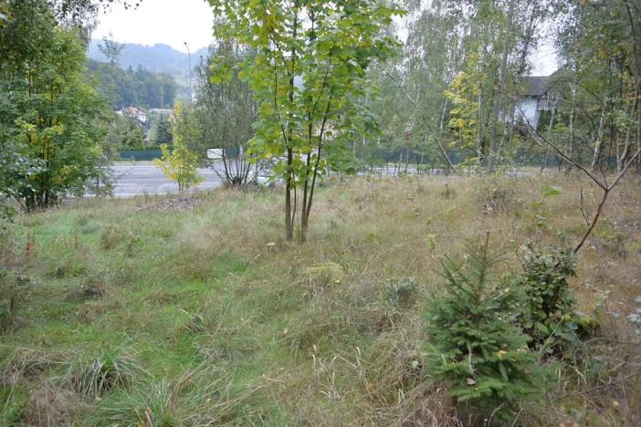 Prodej zahrady, Liberec, 1233 m2