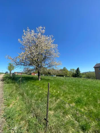 Prodej pozemku pro bydlení, Hamr na Jezeře, 875 m2